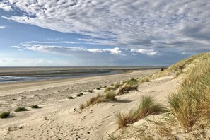 En strand med sanddyner och gles vegetation.