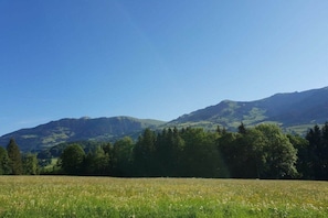 A field with a mountain range in the background. - Holiday apartment with 2 bedrooms (Aurach bei Kitzbühel)