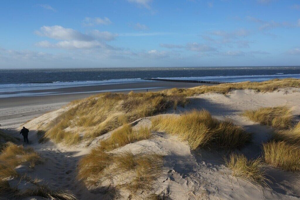 A beach with sand dunes and a person walking.