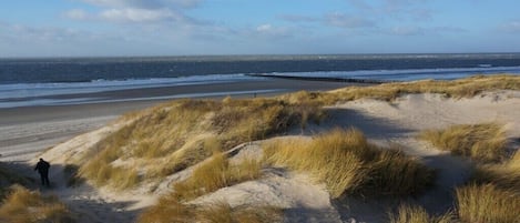 Una spiaggia con dune sabbiose e una persona che cammina.