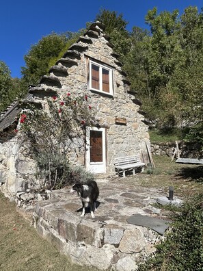 A stone cottage with a wooden door and window, surrounded by greenery and a dog. - An exceptional sheep farm on the hills above Ercé — the wild and unspoiled Ariège (Ercé)