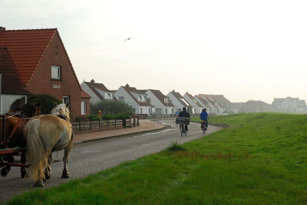 Una calle con casas, un carruaje tirado por caballos y ciclistas.