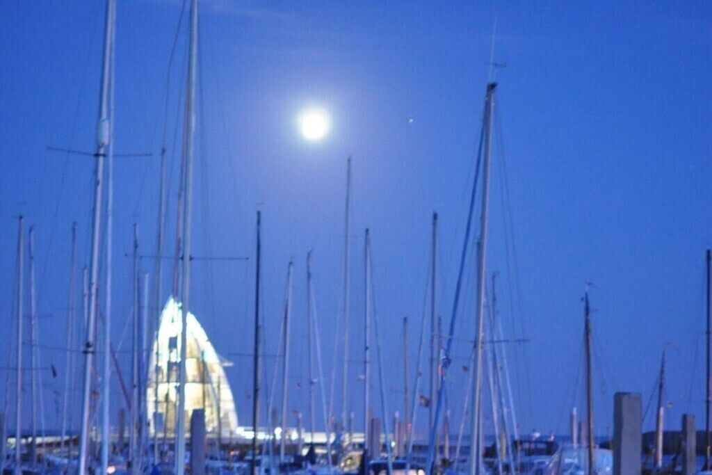 A marina with multiple sailboats docked, a prominent building with a pointed roof, and a bright moon in the sky.