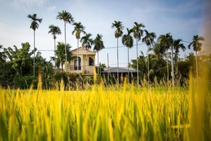 Khuôn viên nơi lưu trú
