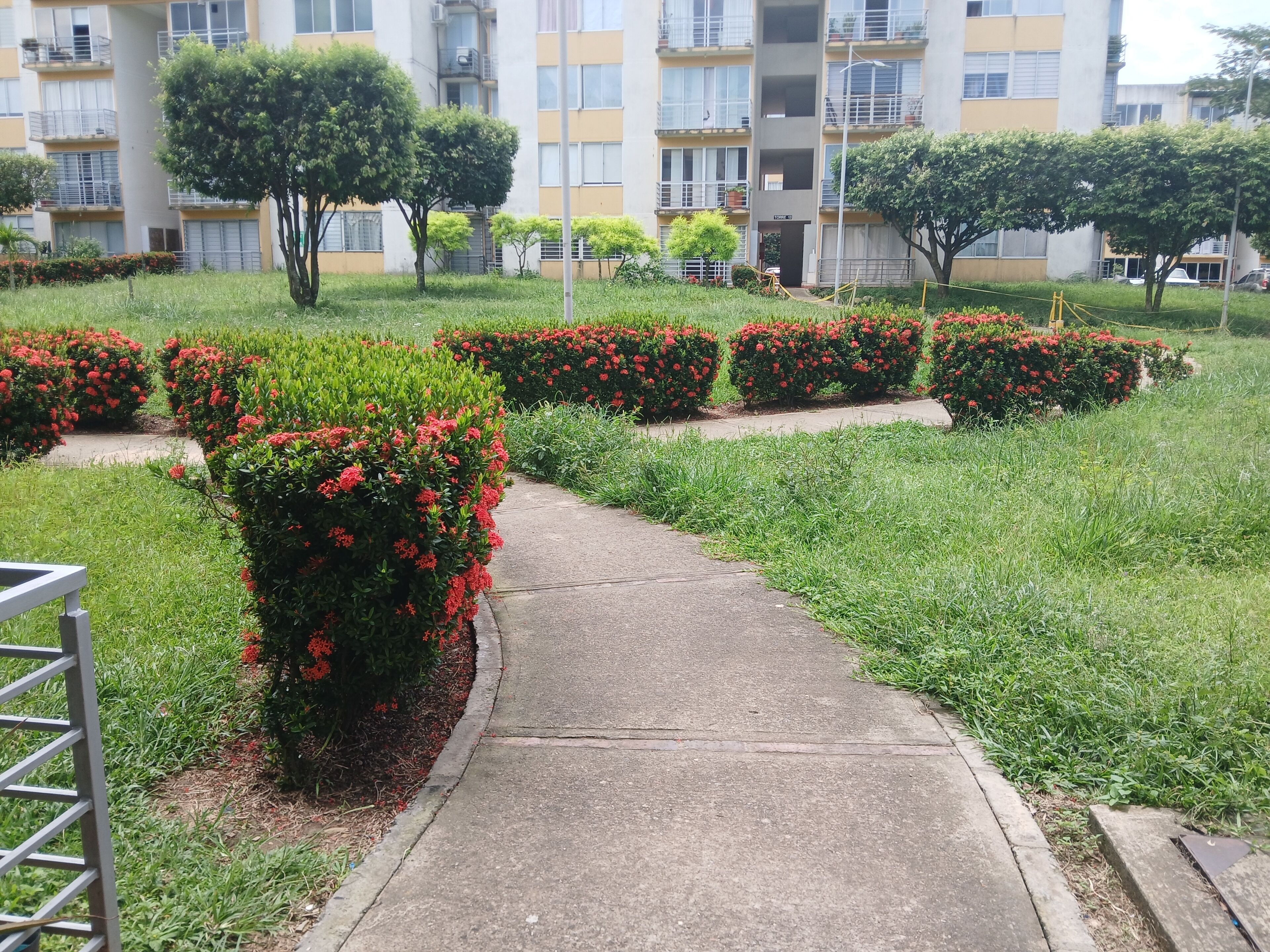 A pathway leading through a landscaped area with red flowering bushes and a residential building in the background.