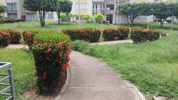 A pathway leading through a landscaped area with red flowering bushes and a residential building in the background.