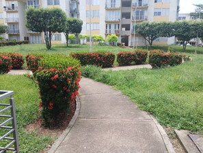 A pathway leading through a landscaped area with red flowering bushes and a residential building in the background.