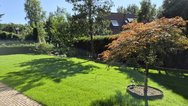 A well-maintained lawn with a tree in a circular planter, a brick pathway, and a house with a sloped roof in the background. - Wighenerhorst Bungalow Park - 49 (Wijchen)