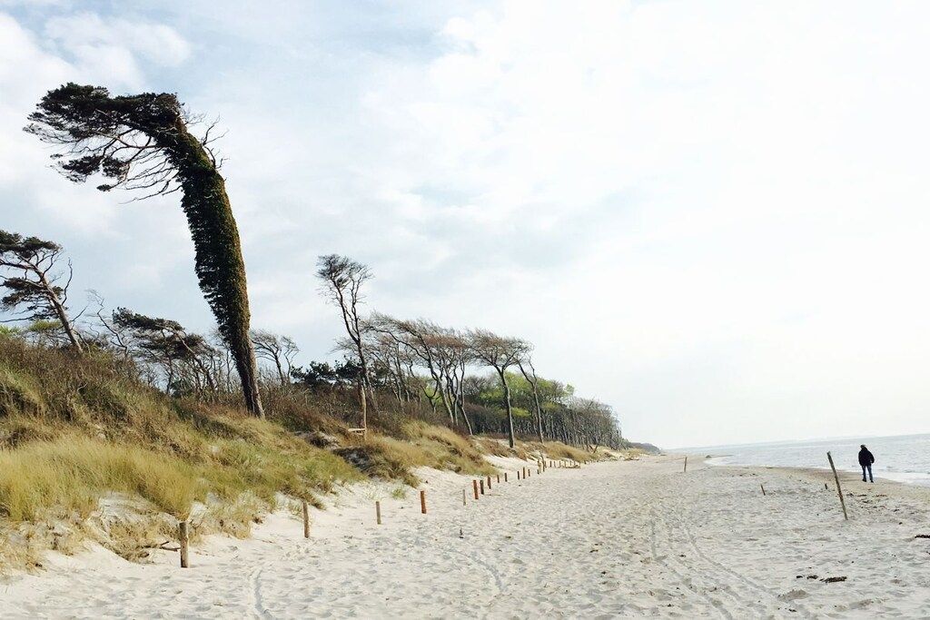 A sandy beach with a person walking, trees, and a fence along the shore.