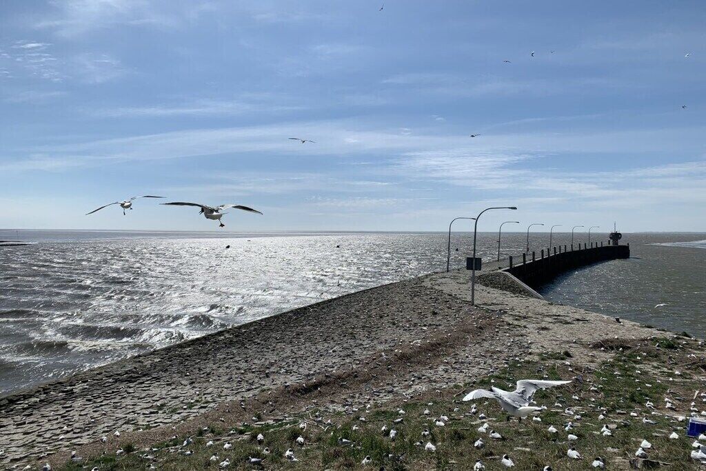 Une promenade en bord de mer avec un chemin pavé, une rambarde incurvée et une vue sur la mer.