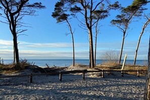 A sandy beach with trees and a wooden fence. - Holiday apartment with 2 bedrooms (Wustrow)