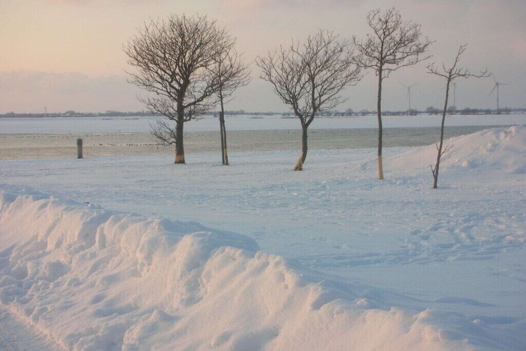 A snowy landscape with bare trees and a frozen body of water.