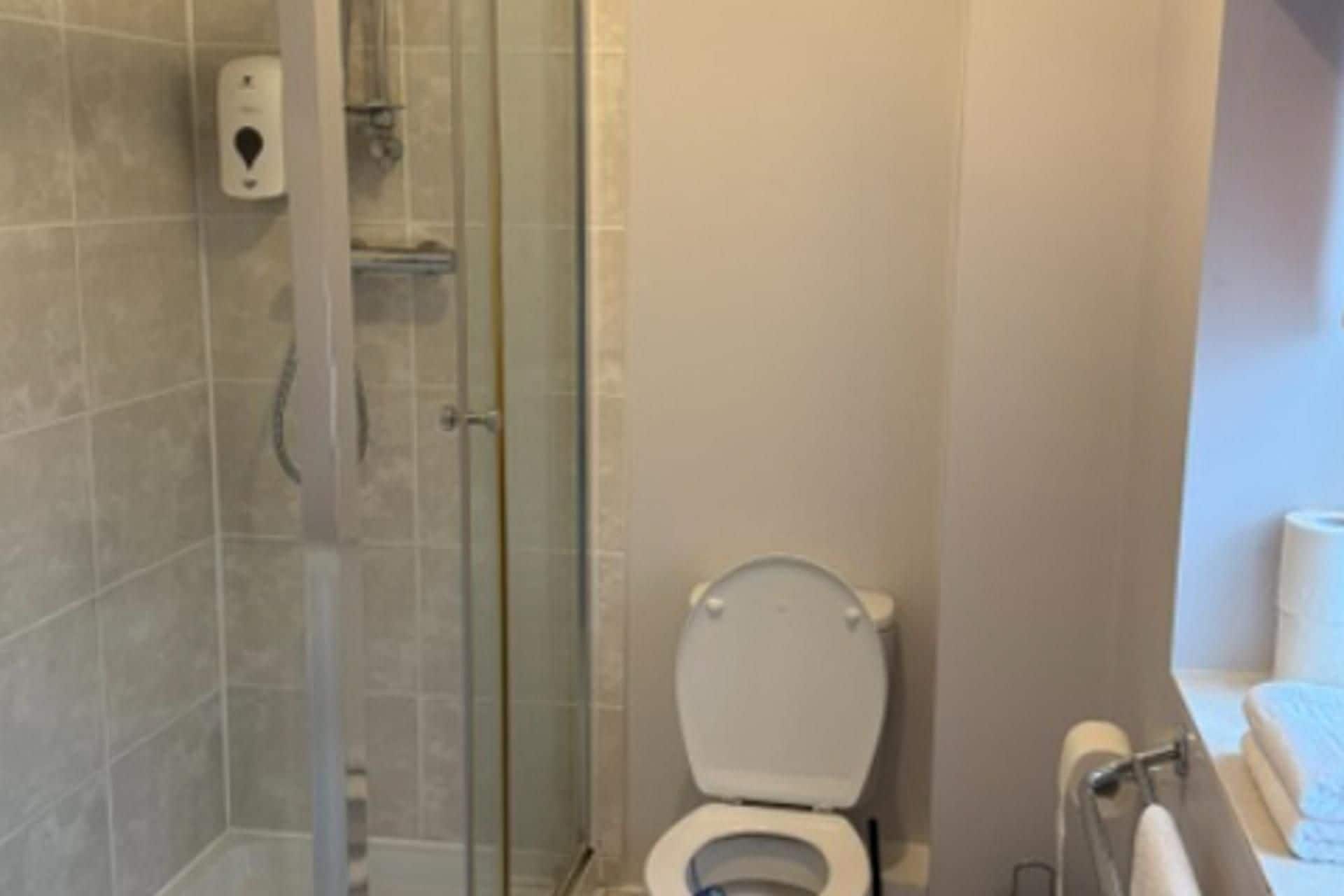 Een badkamer met toilet, een douchecabine van glas en een handdoekhouder.