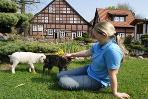 Eine Person sitzt auf der Wiese vor einem traditionellen Fachwerkhäuschen, in der Nähe befinden sich ein kleines weißes Lämmchen und eine Katze.