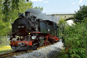 A steam locomotive numbered 99 735 on tracks with a stone bridge in the background.