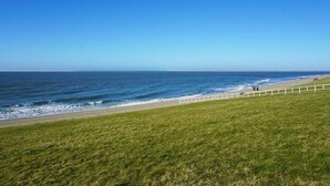 A coastal landscape with a grassy area and a beach with a white fence. - Apartment in Huisduinen with swimming pool (Huisduinen)