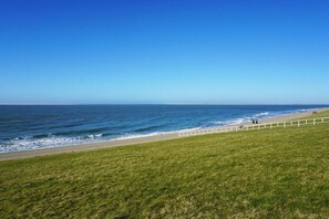 Een kustlandschap met een grasveld en een strand met een witte omheining.