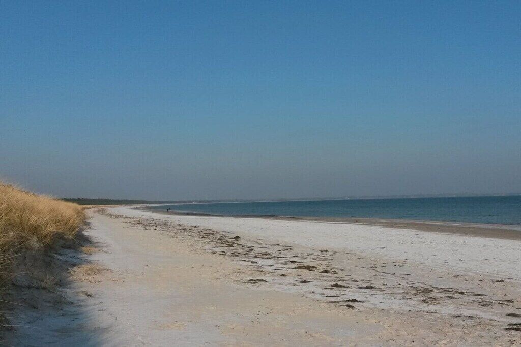 A beach with a clear sky, sandy shore, and sparse vegetation.