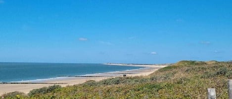 A coastal landscape with a sandy beach, a wooden fence, and dense greenery.