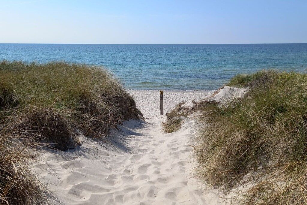 A sandy beach path leading to the sea, surrounded by grass.