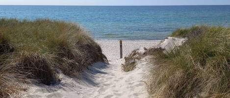A sandy beach path leading to the sea, surrounded by grass.