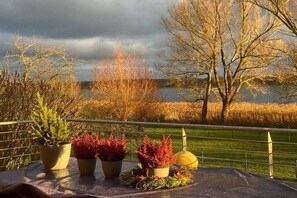 A table with potted plants and a decorative item on a balcony overlooking a body of water and trees. - I have a house by the lake, apartment 3 (Hohen Viecheln)