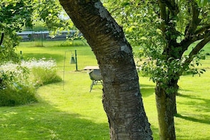 A grassy outdoor area with a picnic table and a grill. - I have a house by the lake, apartment 3 (Hohen Viecheln)