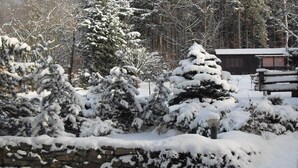 A snow-covered landscape with a stone wall and a wooden cabin. - Holiday home with 1 bedroom (Kurort Oybin)