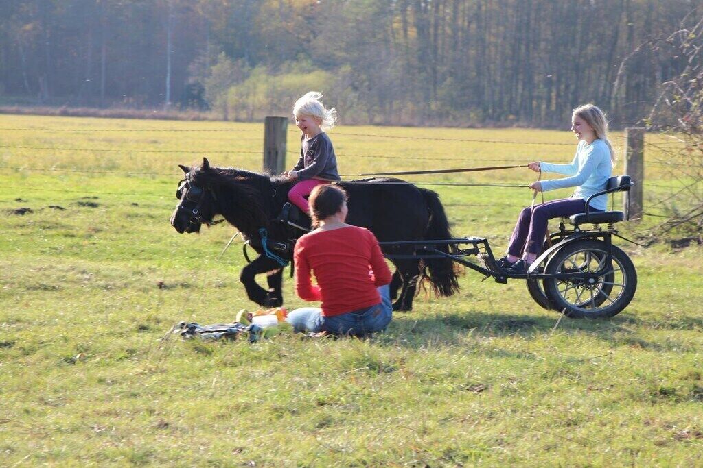 Un carruaje tirado por caballos en un campo con césped, con una persona en silla de ruedas y otra sentada en el carruaje.