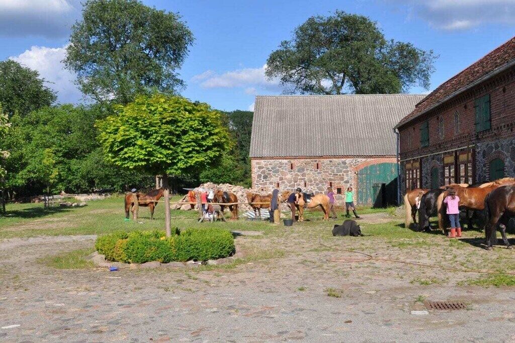 Un establo con caballos y gente alrededor, un edificio de piedra y árboles al fondo.