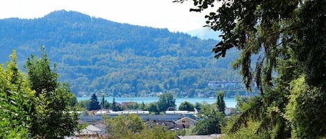 A residential area with houses, a pathway, and a view of a lake and forested hills in the distance.