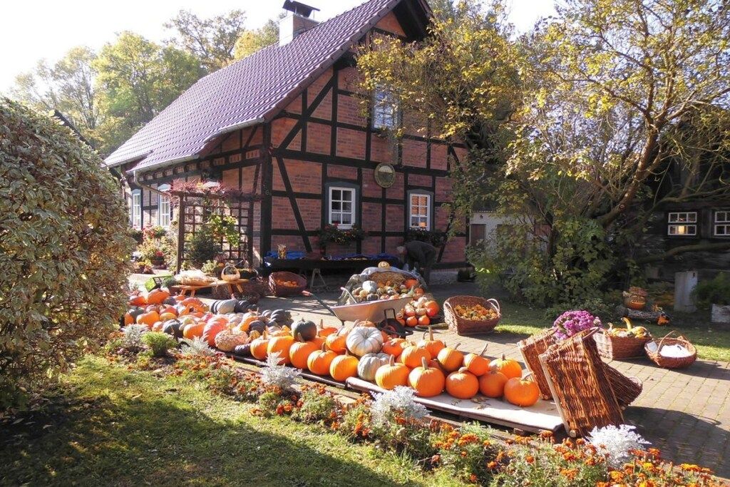 A traditional half-timbered house with a garden display of pumpkins and flowers.