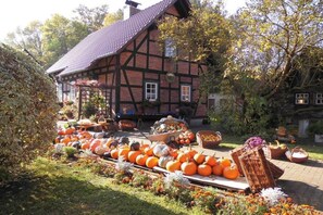A traditional half-timbered house with a garden display of pumpkins and flowers. - In the Cucumber Quarter (Lübbenau\/Spreewald)