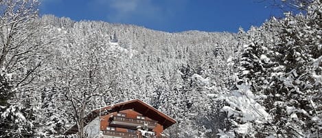 A lodge with a red roof, surrounded by snow-covered trees and a mountain in the background.
