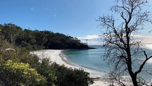 Uma praia com vista clara do mar, uma faixa de areia e uma árvore ao primeiro plano.