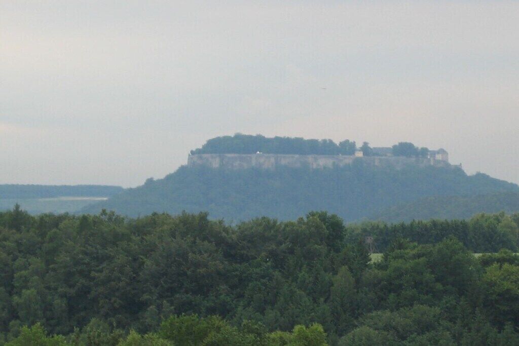 A castle on a hill with dense forest in the foreground.