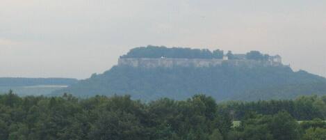 A castle on a hill with dense forest in the foreground.
