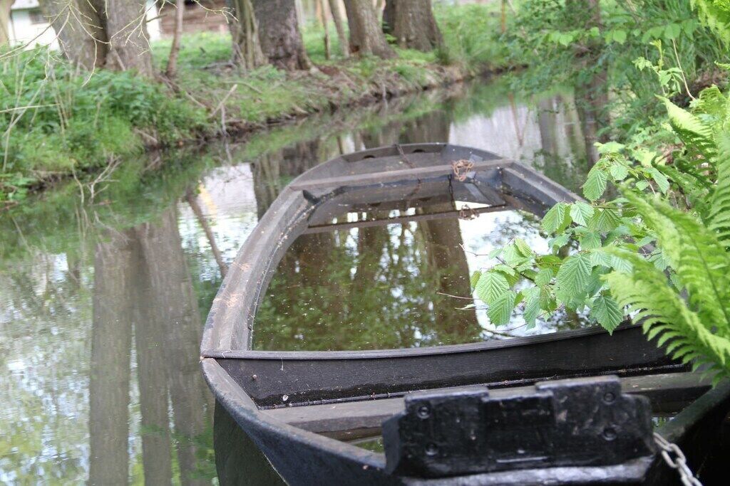 Ein kleines Boot liegt an einem ruhigen Gewässer, umgeben von viel Grün.