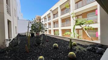 Un patio con jardín de cactus, plantas en macetas y un edificio con balcones.