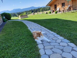 A pathway leading to a wooden building with a view of mountains. - Wirtsstubn Vacation Rental, 75 m², Rooftop Terrace, Pool & Hot Tub (Siegsdorf)
