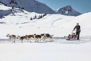 A snowy landscape with a sled pulled by dogs, a person standing, and a child sledding. - Top 22 for 2-4 people/ 3rd floor (Schröcken)