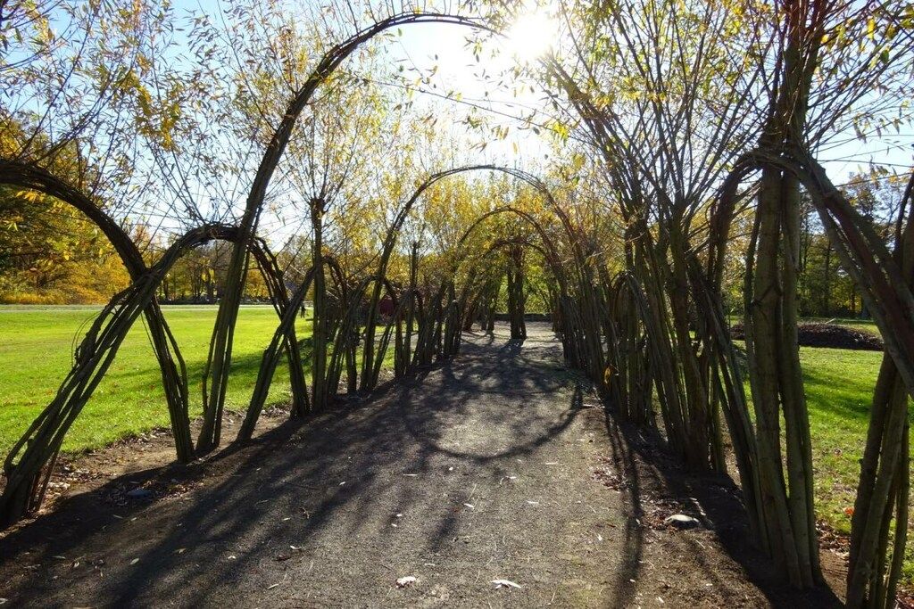 Un sentier bordé d’arbres aux branches nues, qui traverse un parc.