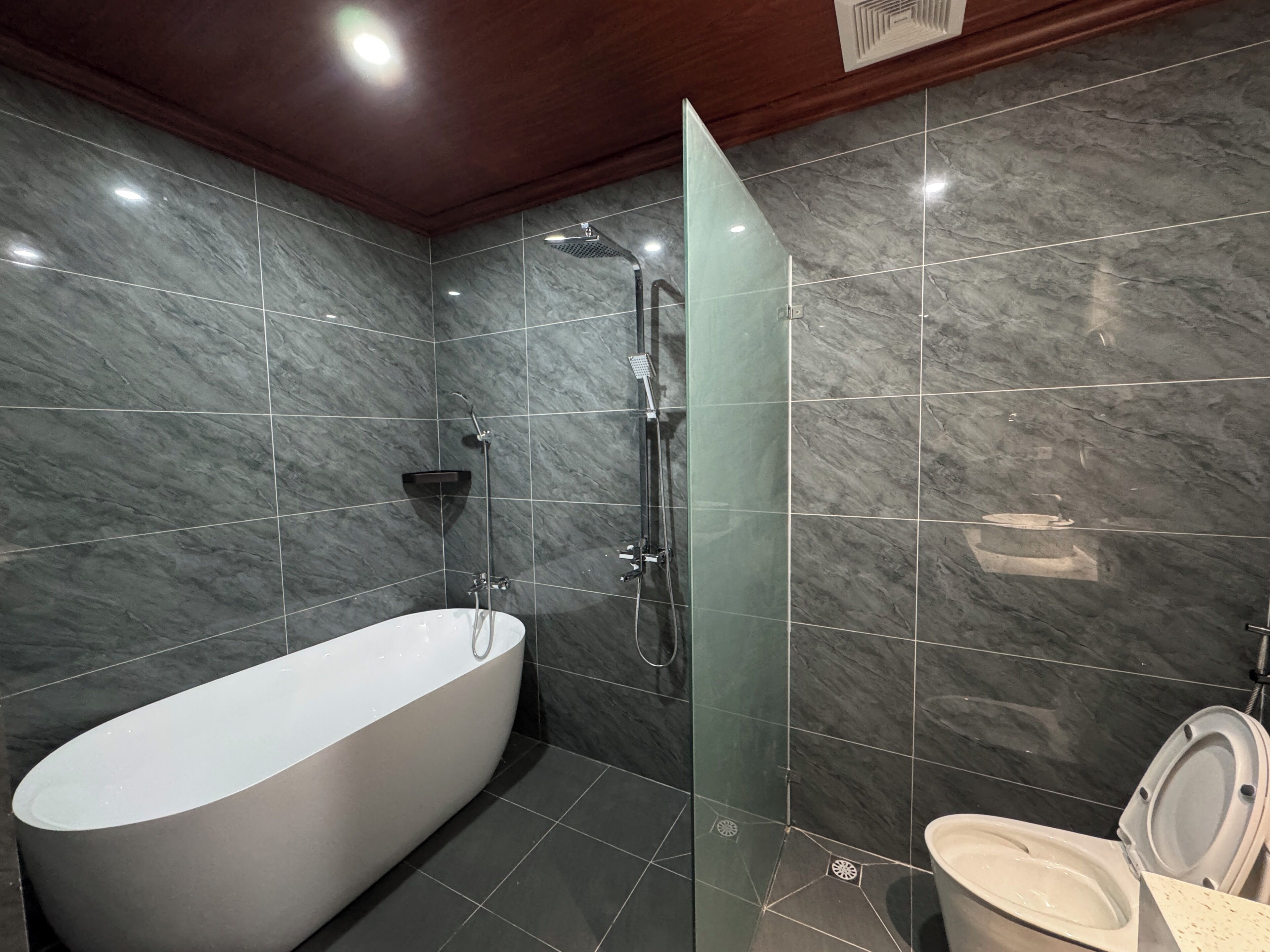 A modern bathroom with a freestanding bathtub, a shower, and a toilet.