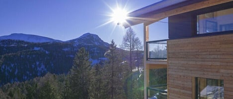A modern building with a wooden exterior, large windows, and a view of snow-covered mountains.