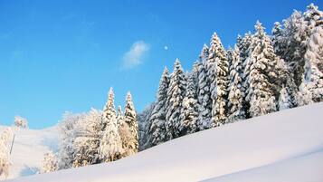 Un paysage enneigé, avec des arbres couverts de neige et un ciel bleu dégagé.