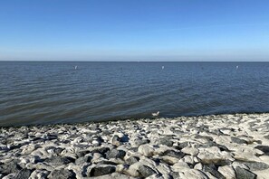 Eine felsige Küstenlinie mit ruhigem Wasser und Bojen.