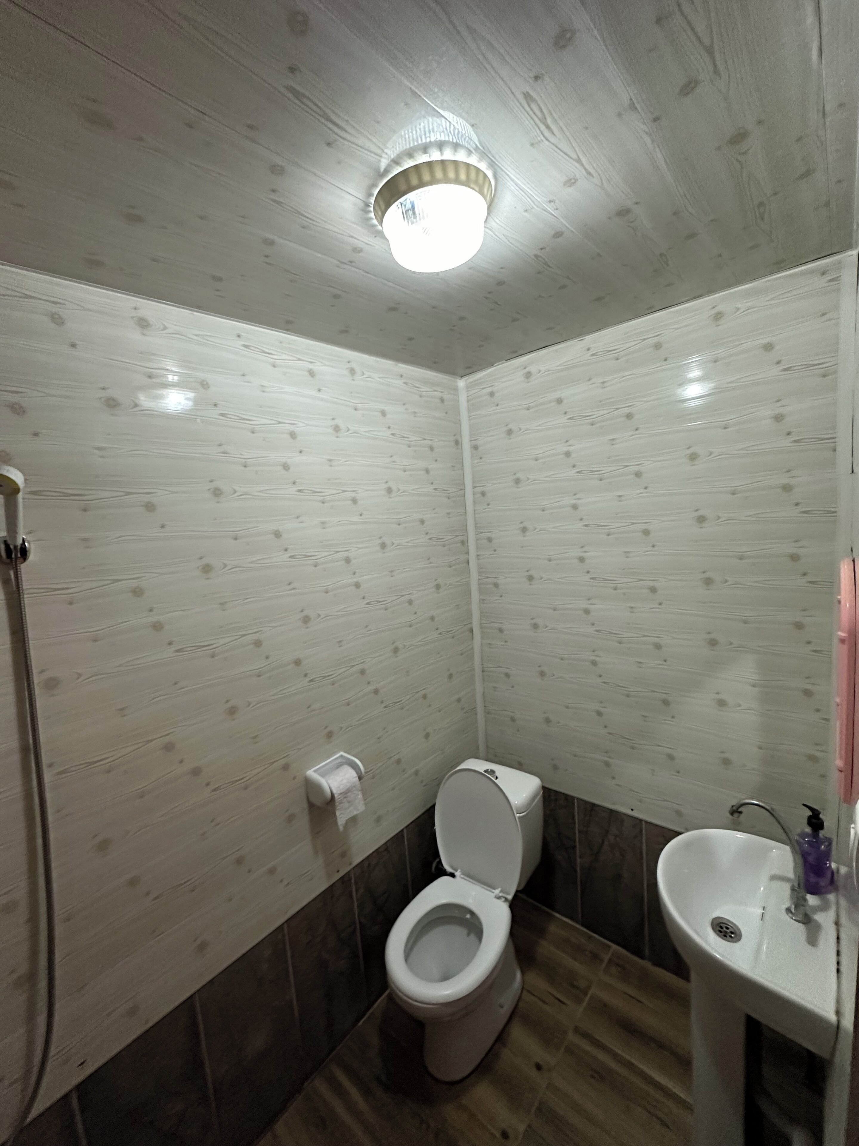 Un baño con inodoro, lavamanos y ducha.