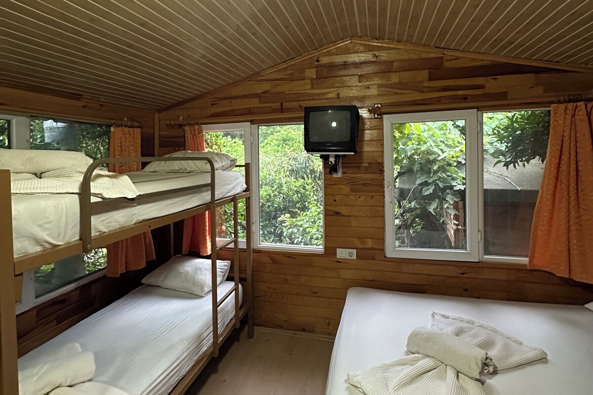 Interior d'una cabana amb lliteres, televisió i finestres amb cortines.