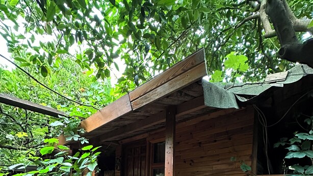 A rustic wooden cabin with a bicycle parked in front.