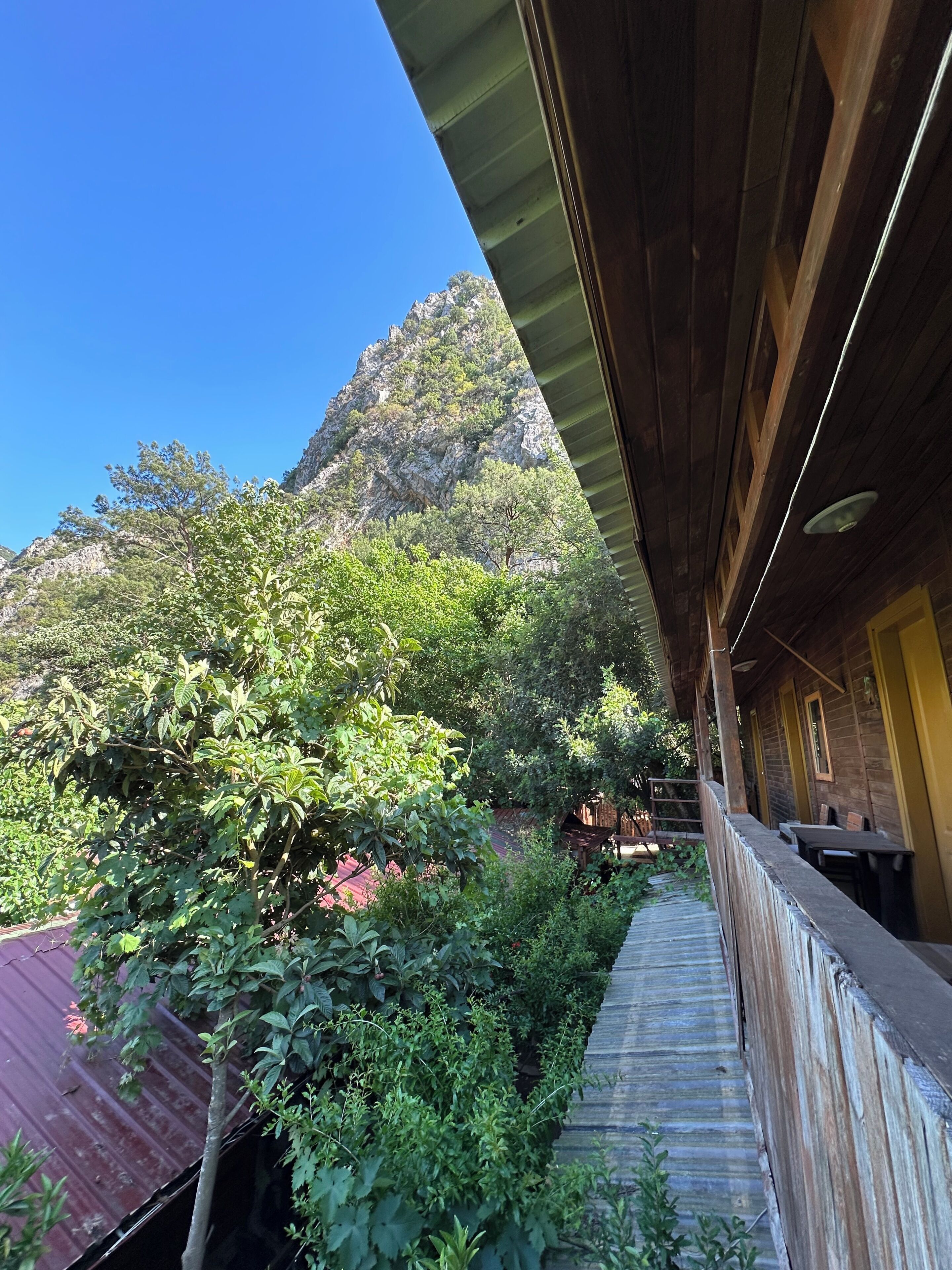 Family Quadruple Room | Property grounds